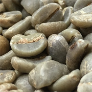 生豆